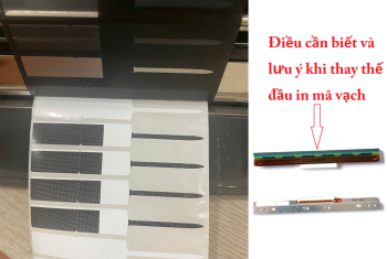 Điều cần biết và lưu ý khi thay thế đầu in mã vạch